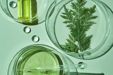 Plant Based Skincare