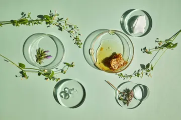 Vegan Korean Skincare Brands